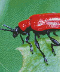 Scarlet Lily Beetle Diamond Painting