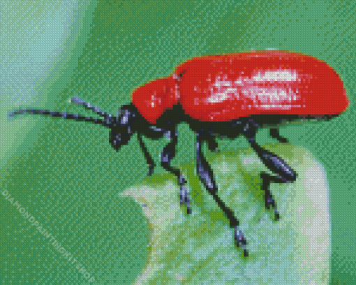 Scarlet Lily Beetle Diamond Painting