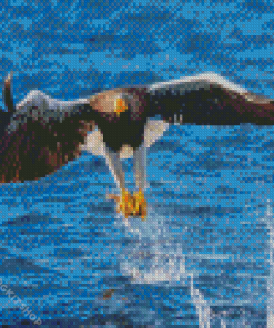 Sea Eagle Catching Fish Diamond Painting