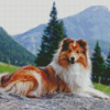 Shetland Sheepdog Diamond Painting