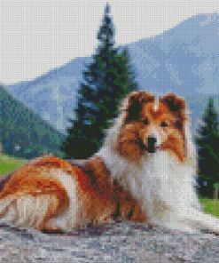 Shetland Sheepdog Diamond Painting