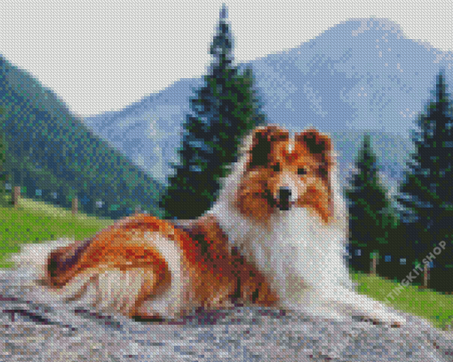 Shetland Sheepdog Diamond Painting