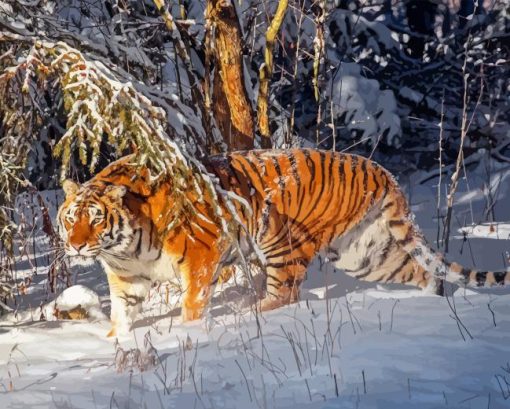 Siberian Tiger Diamond Painting