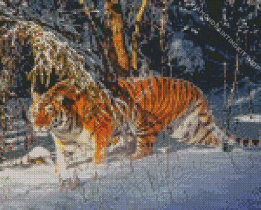 Siberian Tiger Diamond Painting