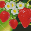 Strawberries Garden and Flowers Diamond Painting