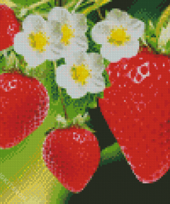 Strawberries Garden and Flowers Diamond Painting