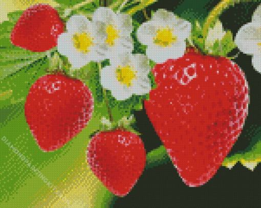 Strawberries Garden and Flowers Diamond Painting