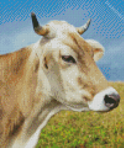 Swiss Cow Diamond Painting