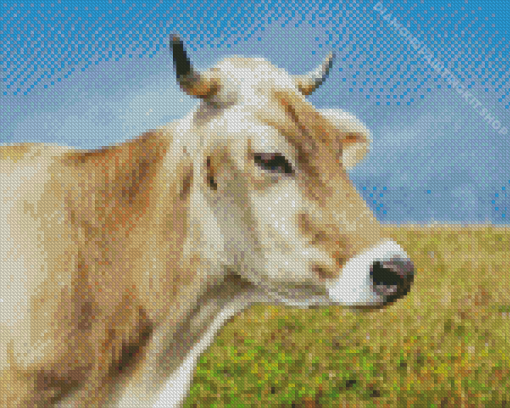 Swiss Cow Diamond Painting