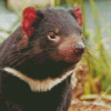 Tasmanian Devil Diamond Painting