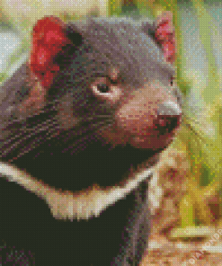 Tasmanian Devil Diamond Painting