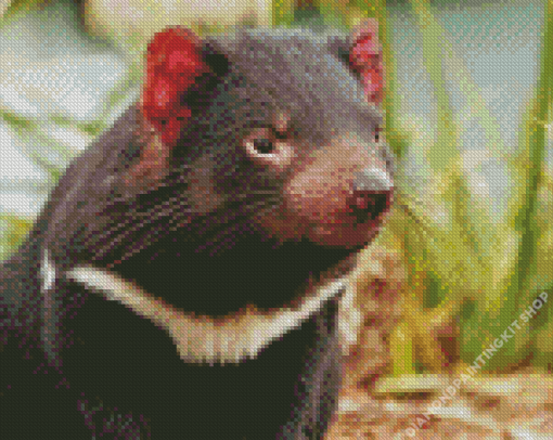 Tasmanian Devil Diamond Painting