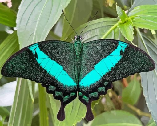 Teal Butterfly Diamond Painting