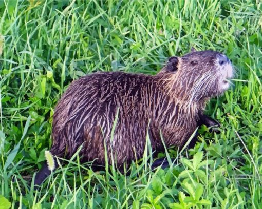 The Nutria Animal Diamond Painting