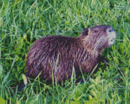 The Nutria Animal Diamond Painting