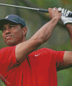 Tiger Woods Diamond Painting