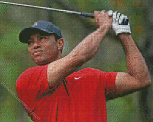 Tiger Woods Diamond Painting