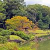 Tokyo Rikugien Garden Diamond Painting