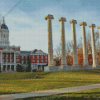 University of Missouri Diamond Painting