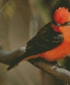 Vermilion Flycatcher Diamond Painting