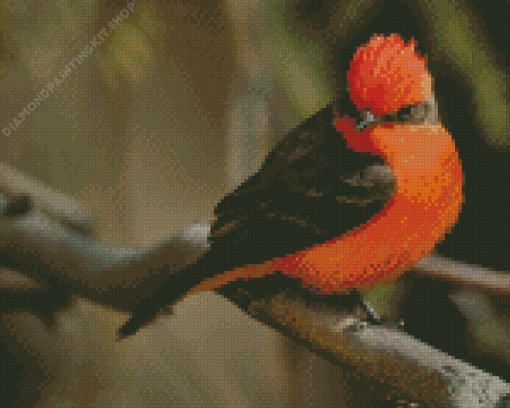 Vermilion Flycatcher Diamond Painting