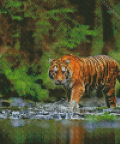 Wild Tiger Diamond Painting