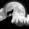 Wolf With Moon Diamond Painting