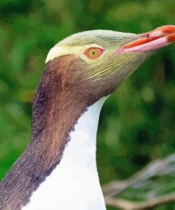 Yellow Eyed Penguin Diamond Painting