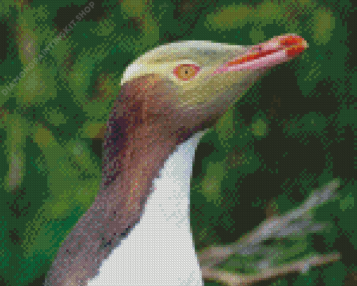 Yellow Eyed Penguin Diamond Painting