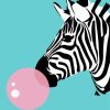 Zebra with Bubble Gum Diamond Painting