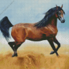 Arabian Horse Diamond Painting