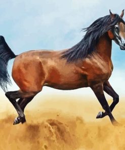 Arabian Horse Diamond Painting