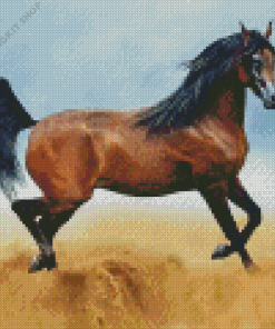 Arabian Horse Diamond Painting