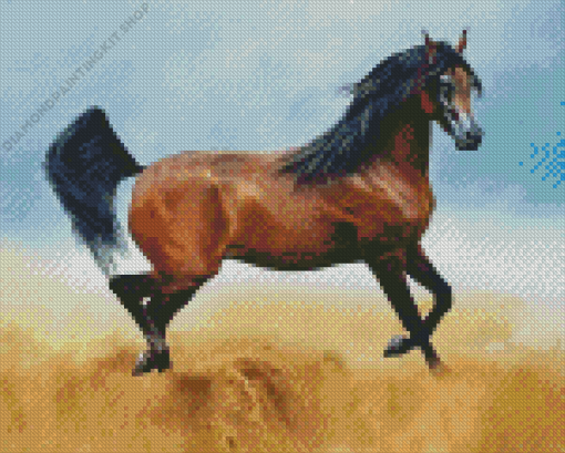 Arabian Horse Diamond Painting