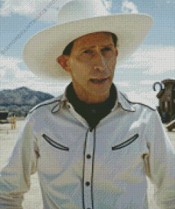 The Ballad of Buster Scruggs Diamond Painting