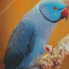 Blue Indian Ringneck Bird Diamond Painting