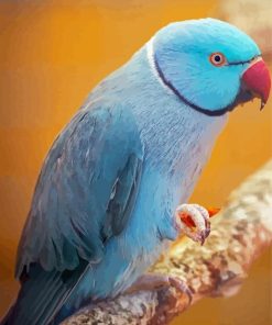 Blue Indian Ringneck Bird Diamond Painting