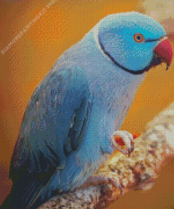 Blue Indian Ringneck Bird Diamond Painting