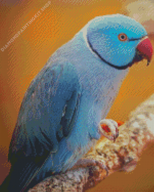 Blue Indian Ringneck Bird Diamond Painting