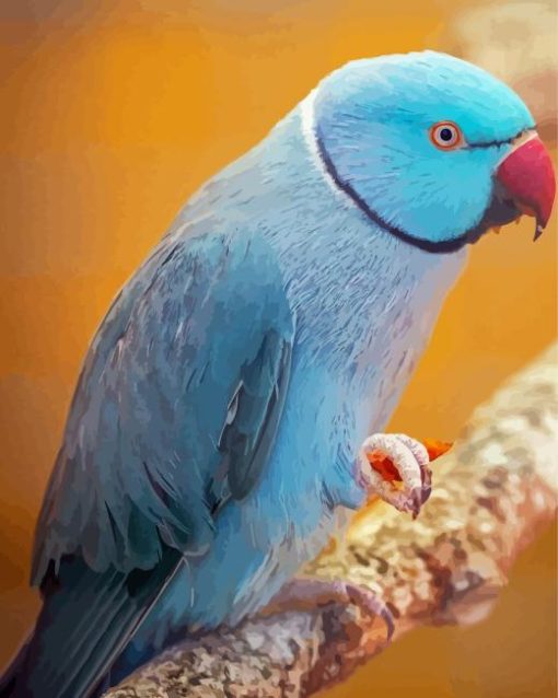 Blue Indian Ringneck Bird Diamond Painting