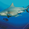 Bull shark Diamond Painting