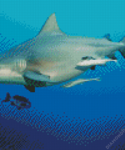 Bull shark Diamond Painting