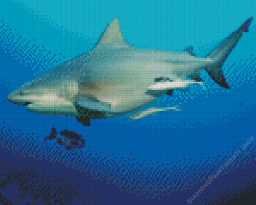 Bull shark Diamond Painting