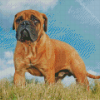 Bullmastiff Diamond Painting