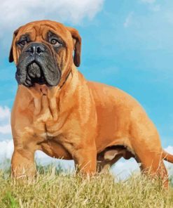 Bullmastiff Diamond Painting