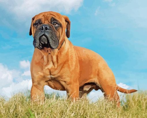 Bullmastiff Diamond Painting