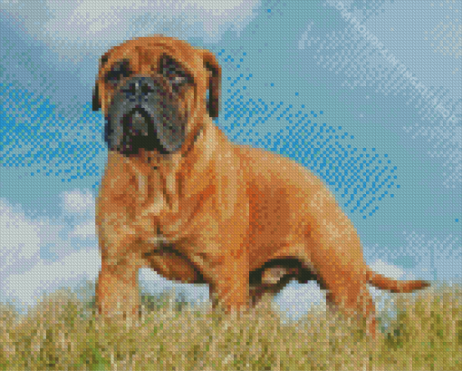 Bullmastiff Diamond Painting