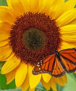 Butterfly with Sunflowers Diamond Painting