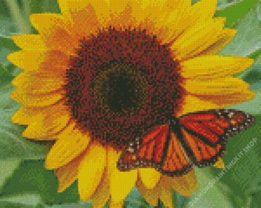 Butterfly with Sunflowers Diamond Painting