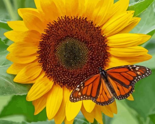 Butterfly with Sunflowers Diamond Painting